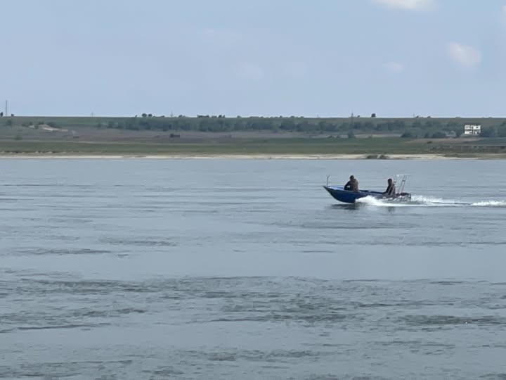 Хванаха румънец да лови риба с ток във водите на Дунав в Ломско /снимка/