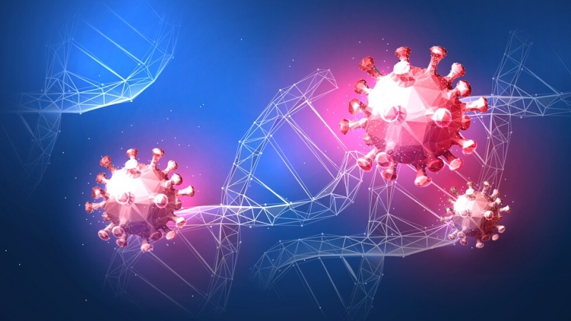 Първият случай на инфекция с новия щам на коронавируса B 1 1 529