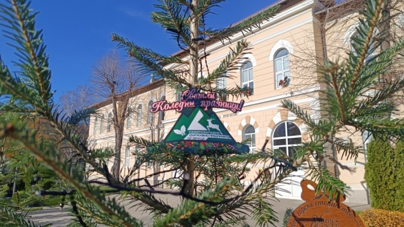 Северозападно държавно предприятие организира инициатива в подкрепа на даровити ученици