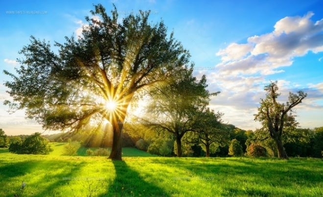 През нощта ще бъде предимно ясно и почти тихо Минималните