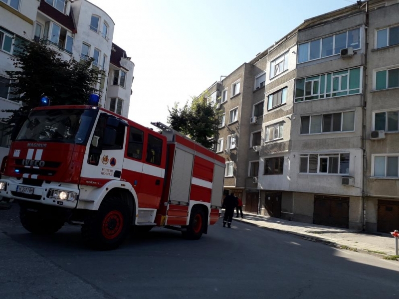 Пожарникари хванаха прилеп влязъл в апартамент в Монтана научи BulNews Случката