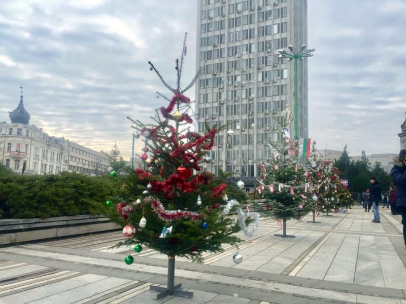 Деца от детски градини и училища украсиха на площад Бдинци