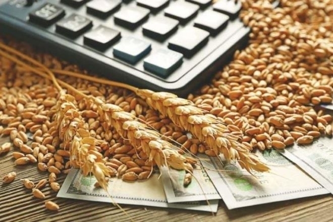 Цените на зърнените стоки по световните борси се понижават през