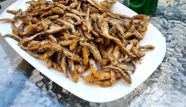 Поне 90 на сто от цацата която улавят най големите български