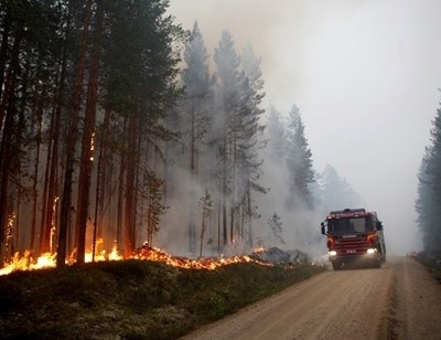 Рекордните за Германия 39 градуса бяха отбелязани в петък Властите