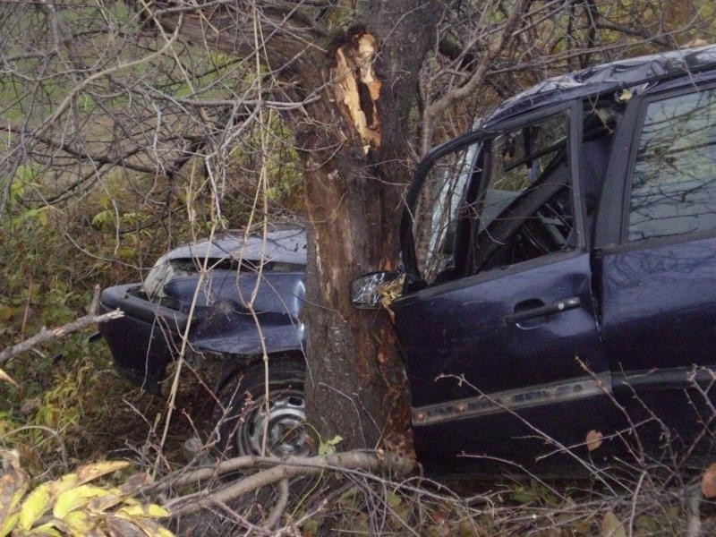 Жена е пострадала при катастрофа във Врачанско, съобщиха от полицията