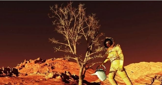 Растения на Луната и Марс спасяват Земята от суша