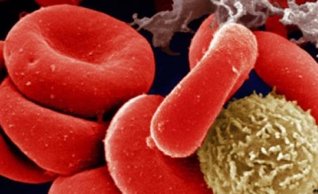 17 април е Световен ден на хемофилията От днес до