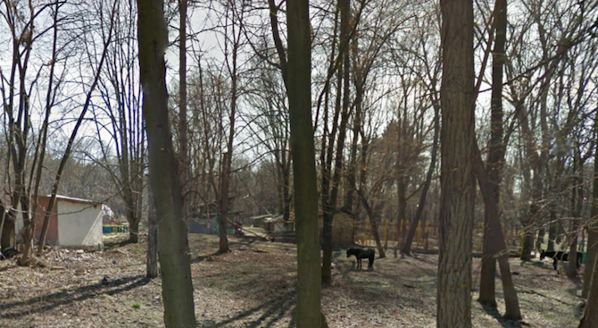 Тялото на 49 годишен мъж е открито в зоокъта на градския