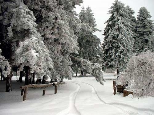 Вчера в землището на видинското село Раброво служители от полицейски