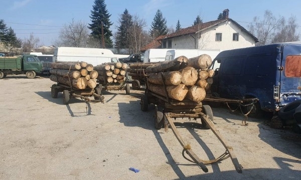 Полицаи и горски хванаха 6 каруци с незаконни дърва във