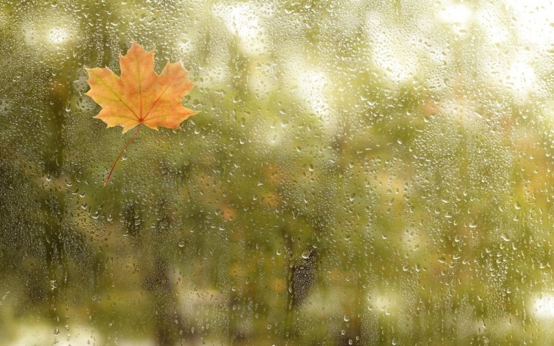 Днес валежи ще има и в източната част от страната