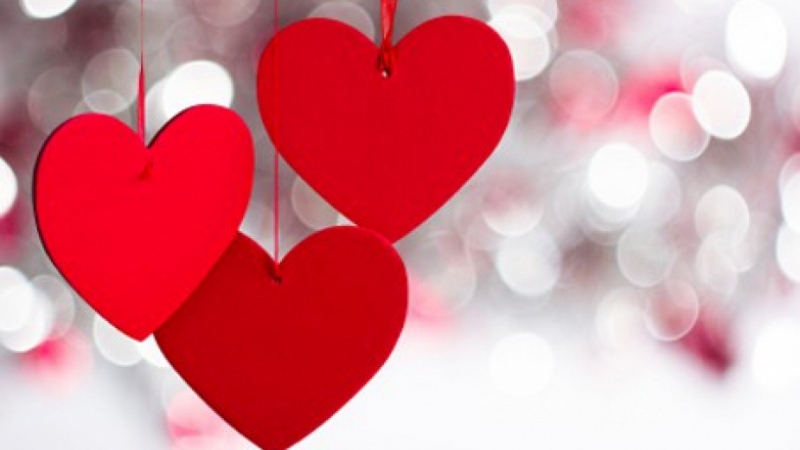 Алея на любовта ще има във Враца за празника Св