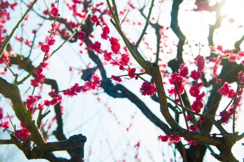 Най ниските температури през април у нас ще са предимно между