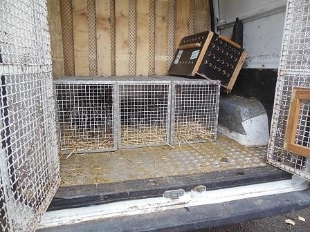 ​Експерти от регионалната инспекция по околната среда и водите във