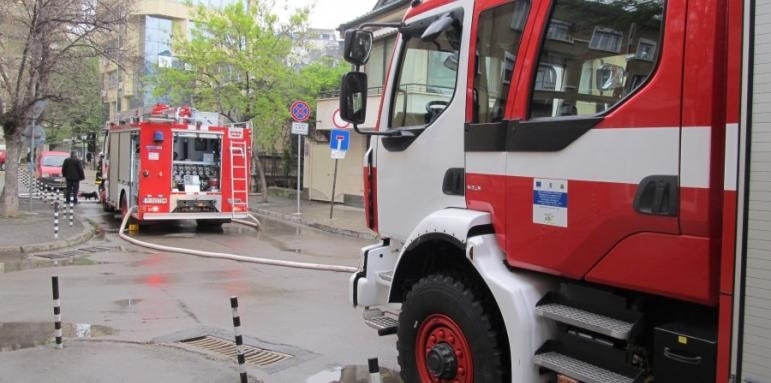 Пжар вдигна накрак огнеборци от Монтанско съобщиха от МВР в