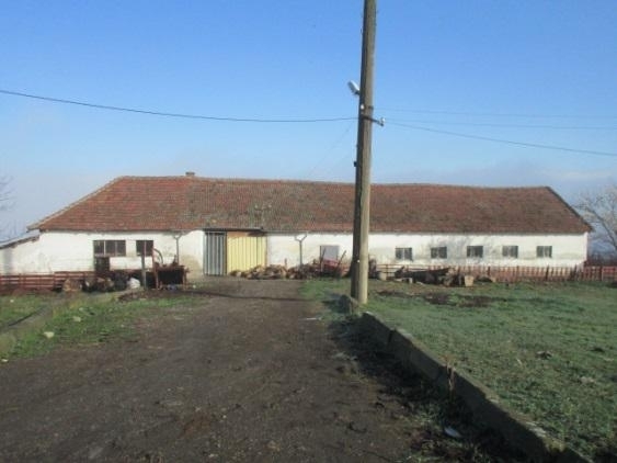 Кризата с африканската чума вече започна да дава своите отражения