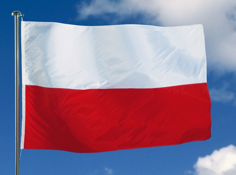 Полското контраразузнаване обяви че е задържан министерски служител по обвинение