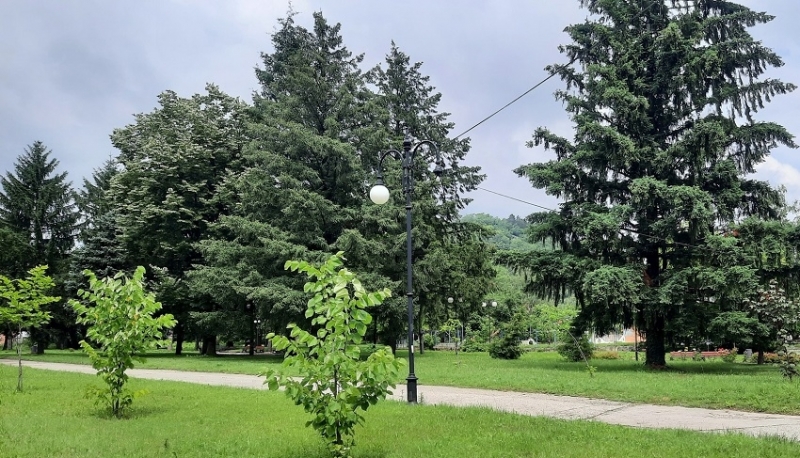 На 4 август четвъртък след 21 часа фирмата с която