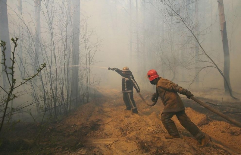 Пожарът в забранената горска зона около Чернобилската АЕЦ е потушен