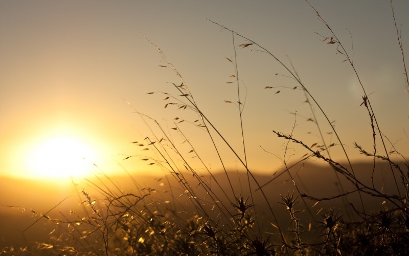 Днес времето ще бъде слънчево Ще продължи да духа умерен