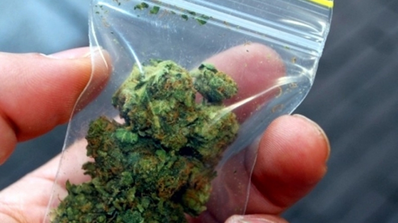 Спипаха тийнейджъри с трева във Видинм съобщиха от МВР Случаят е