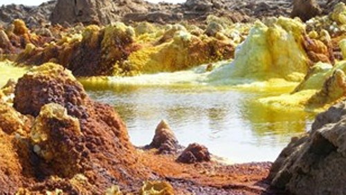 Учени откриха микроби живеещи при 89 градуса по Целзий в