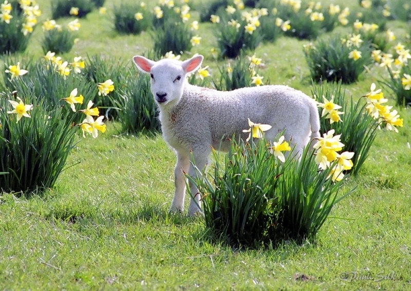 Празничният уикенд започва с топло и слънчево време