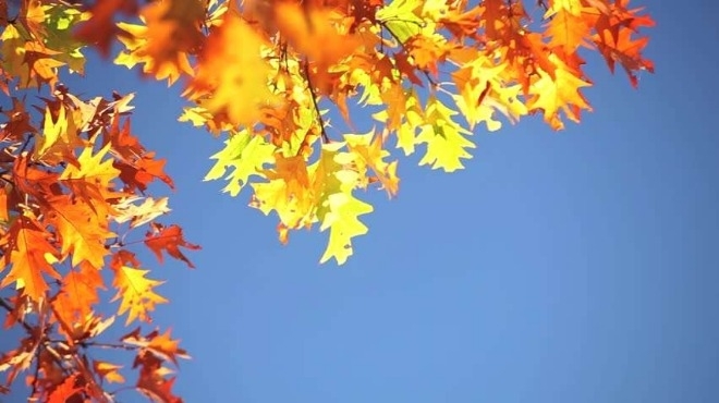 Атмосферното налягане слабо ще се повиши и ще е малко