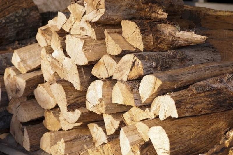 Незаконни дърва бяха открити в частни имоти във Видинско съобщиха