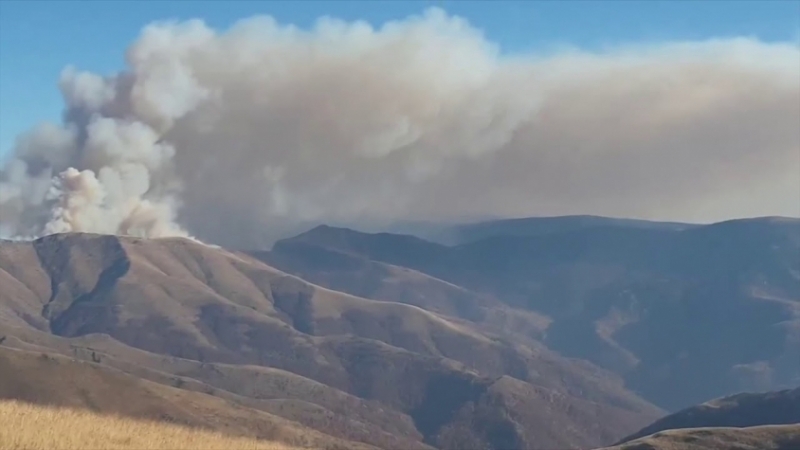 Все още не е ясно как е започнал пожара в