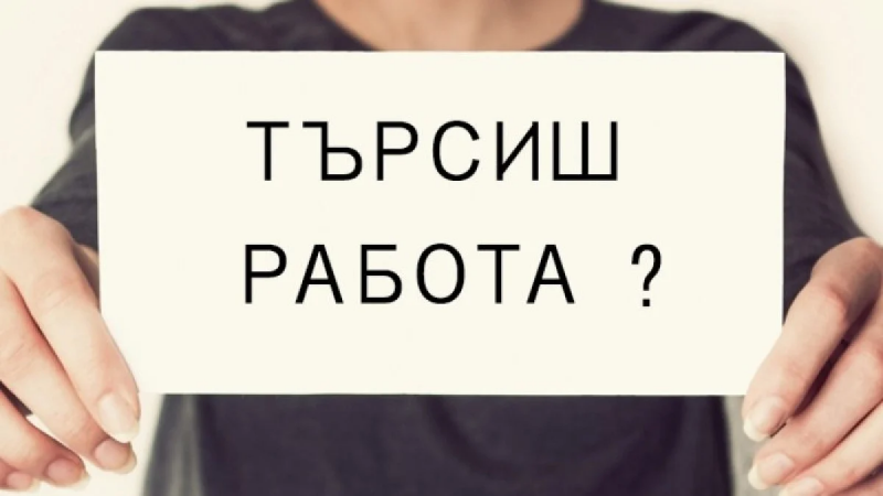 От Агенцията по заетостта обявиха пълния списък със свободни работни