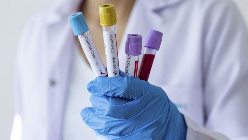 219 са новите потвърдени случаи на коронавирус в страната, сочат