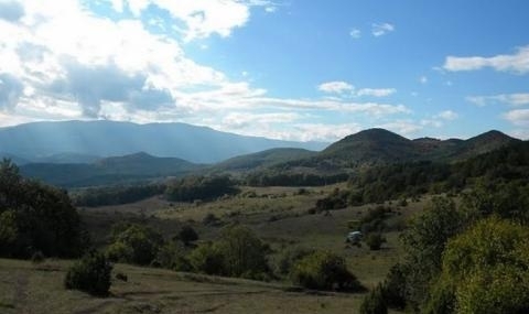 Среднощна драма с деца се е разиграла в Лозенска планина