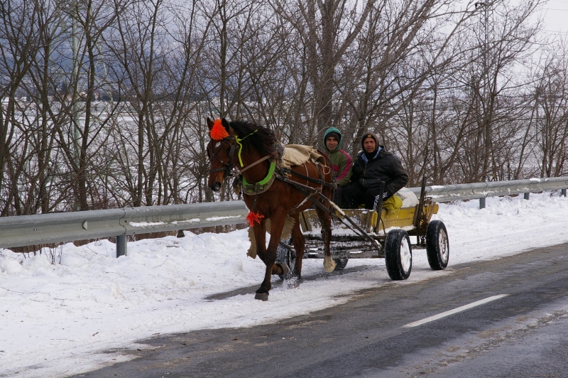 Промени в наредбата за опазване на обществения ред в община