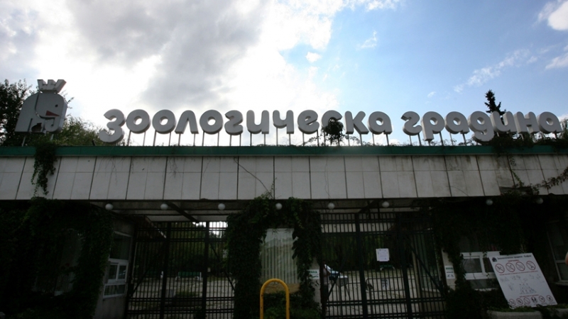 Граждани протестираха пред столичния зоопарк с искане той да бъде