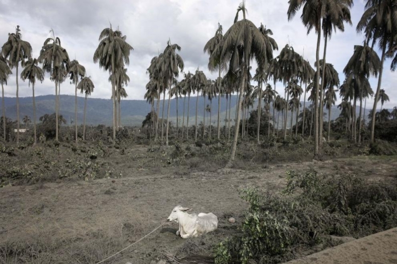 Бедствено положение беше обявено днес на територията на провинция Батангас