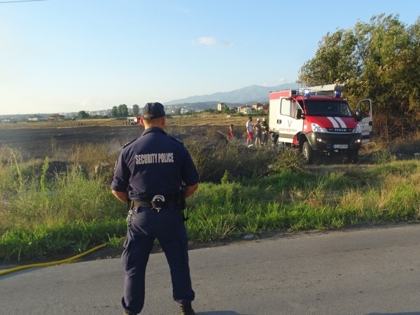 Голям пожар в Монтанско е унищожил 1 тон слънчоглед в