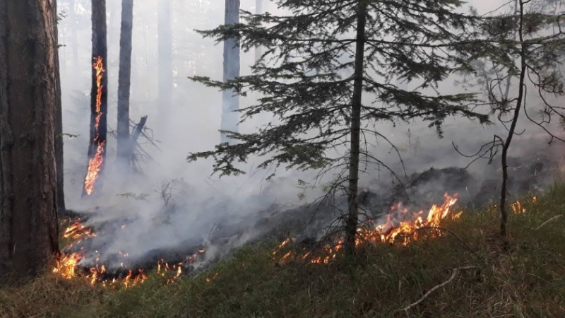 За втори пореден ден в Монтанско има 13 пожара в