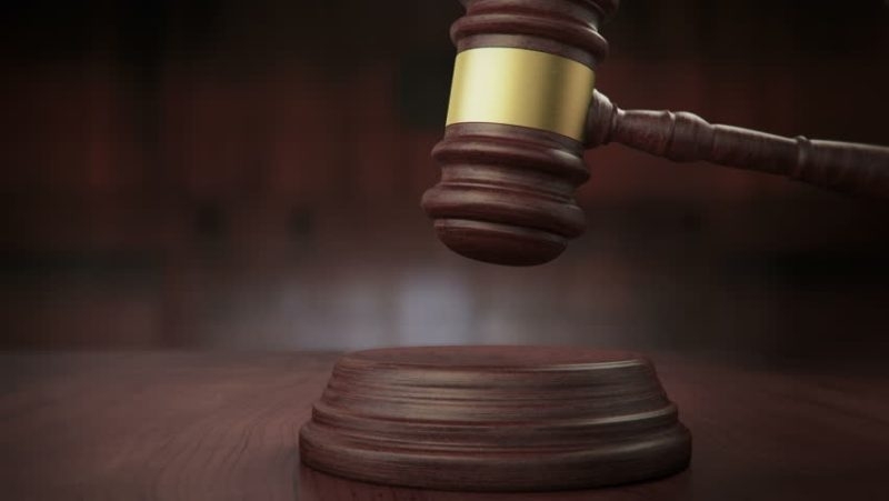 Осъдителни присъди във Виена за изнасилване и убийство на 13-годишно момиче