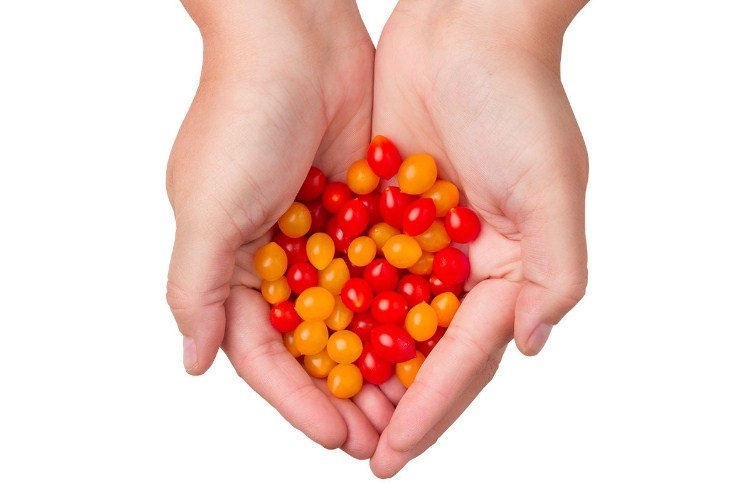 Израелска компания създаде домат капка голям колкото боровинка съобщи Асошиейтед прес Доматът е най малкият отглеждан