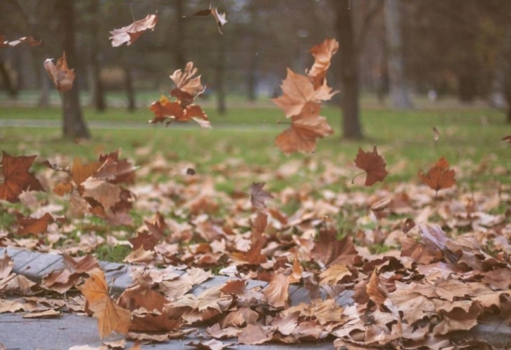 В сутрешните часове в Горнотракийската низина ще е мъгливо Ще духа