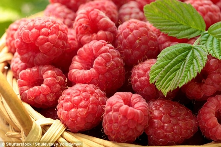 Яденето на малини може да намали риска от сърдечни заболявания