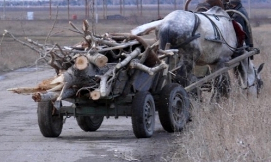 Хванаха дете с каруца с дърва в Монтанско съобщиха от