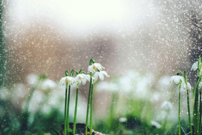 За 24 области в страната Националният институт по метеорология и