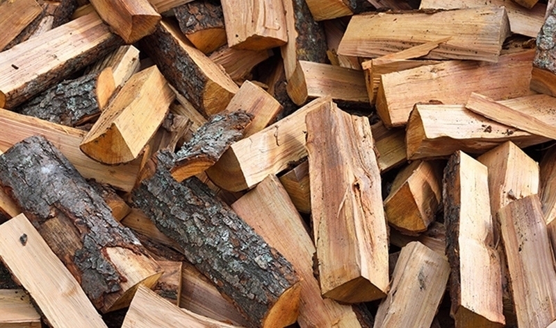 Откриха незаконни дърва в два имота във Врачанско съобщиха от