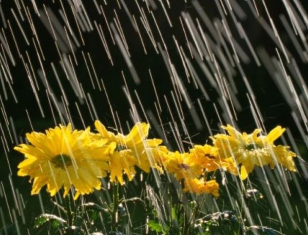 През нощта главно в Западна България имаше краткотрайни валежи придружени