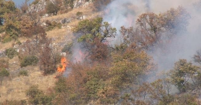 Пикник е причината за голям пожар в подножието на Бузлуджа