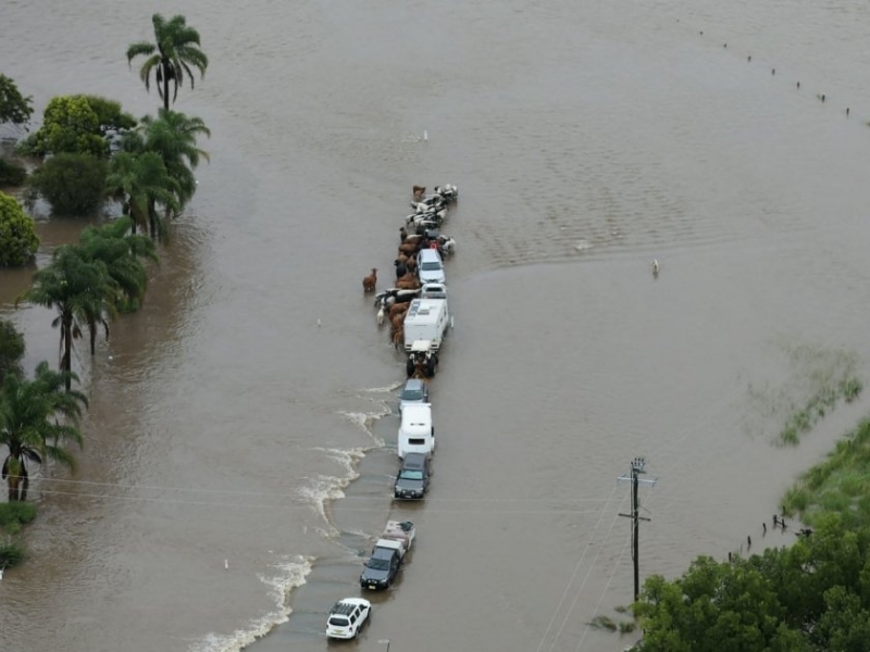 Наводненията в Австралия взеха най-малко 12 жертви. Дъждовете се насочват