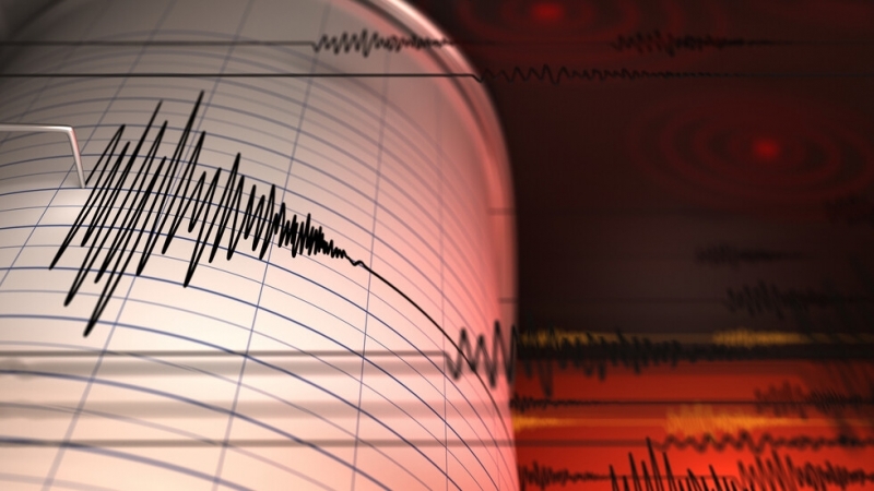 Земетресение с магнитуд 6 6 бе регистрирано днес в близост до